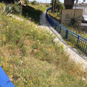 Ciudadanos lleva a pleno el adecentamiento de la zona de verde de la entrada de Cádiz